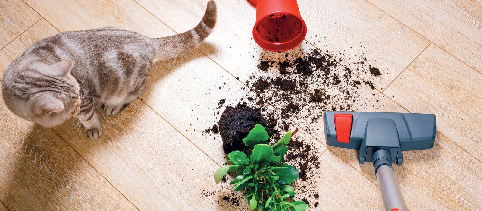 Porzsákos porszívók 